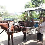 Omah Garengpoeng Guest House